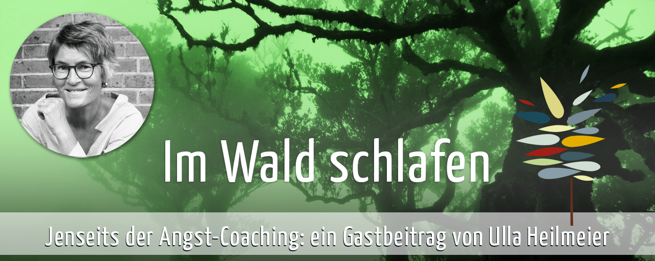 Ulla Heilmeier, coaching – concept – consulting, Bilder: eigene Aufnahmen